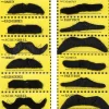 Bartkarte mit 12 verschiedene, schwarze Bärte
