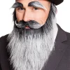 Bart Vollbart Alter Mann, grau