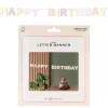 Buchstabengirlande Dreamy Pastels HAPPY BIRTHDAY aus Papier, 14 x 180 cm