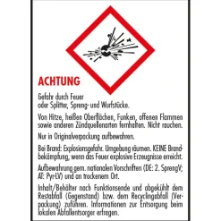 Feuerwerk / Kinder- & Jugendfeuerwerk, Wild Boys, Packung mit 6 Schachteln