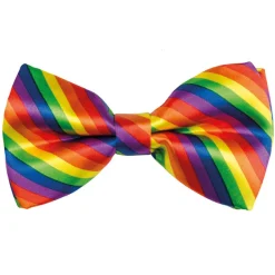 Fliege Regenbogen