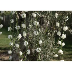 Künstliche Girlande Rosen, Weiss, Ø 50 mm / Länge 120 cm