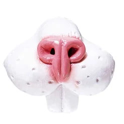 Nase Kaninchen, weiß und rosa