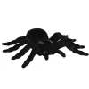 NEU Deko Spinne Tarantula, 16x11cm