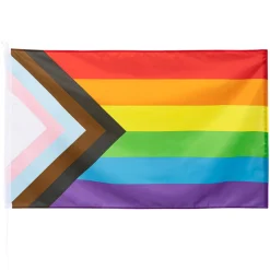 NEU Fahne Progress Pride, 90x150cm