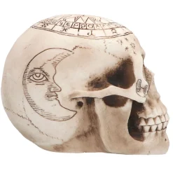 NEU Halloween-Deko-Schädel Astronomie, 12x20cm