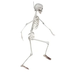 NEU Halloween-Deko Skelett, ca. 90cm, mit beweglichen Gliedern