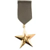 NEU Medaille Abzeichen Orden Marine / Militär Stern, ca. 6x12cm