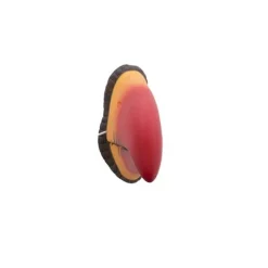 NEU Nase / Schnabel Papagei aus Gummi, rot