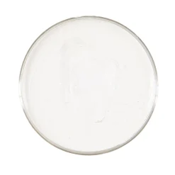 NEU Profi-Schminke auf Fettbasis für Karneval, Kinderschminken & Theater, 25 g, Weiß