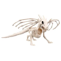 NEU Skelett Drache, 14x25x14cm