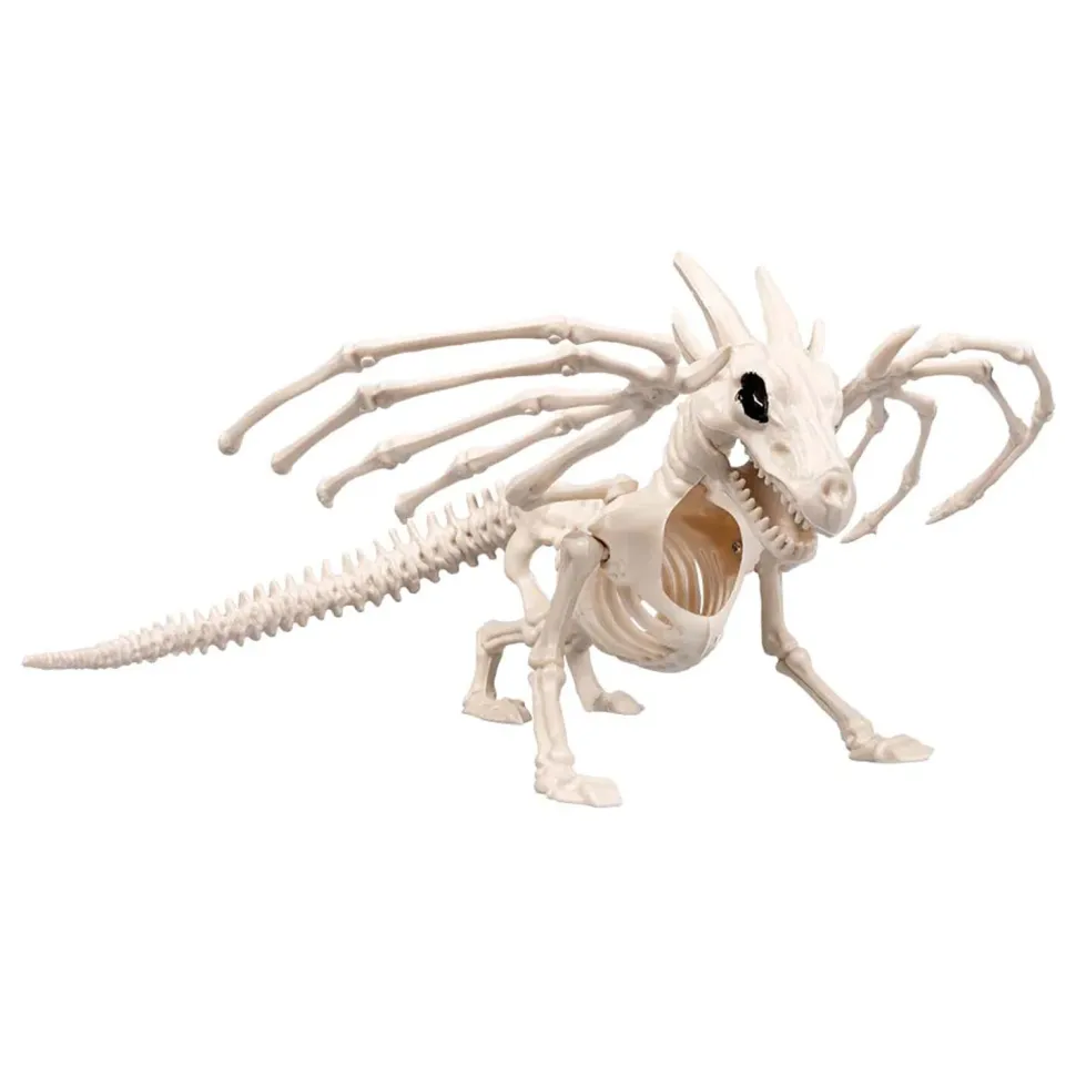 NEU Skelett Drache, 14x25x14cm