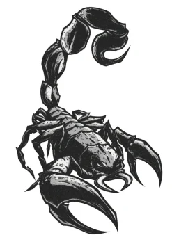 NEU Temporäres Tattoo-Motiv Reality, 10,5 x 14,8cm, Prison Scorpion