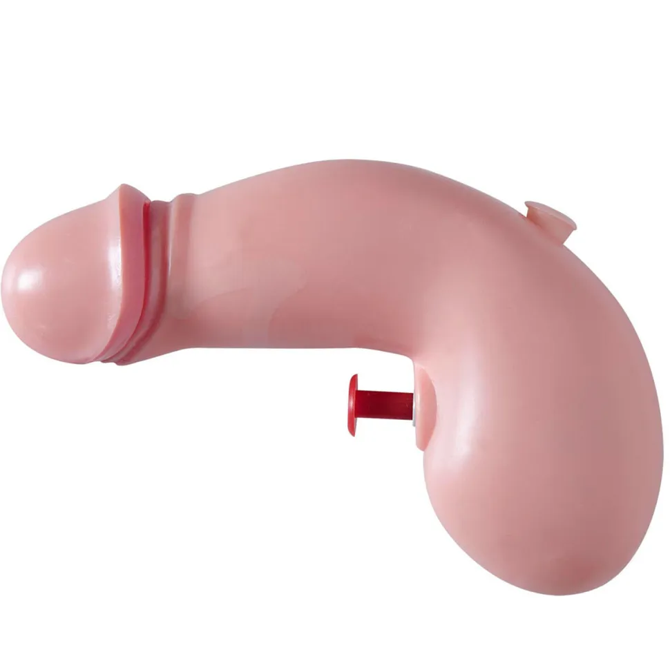 NEU Wasserpistole Penis, für JGA