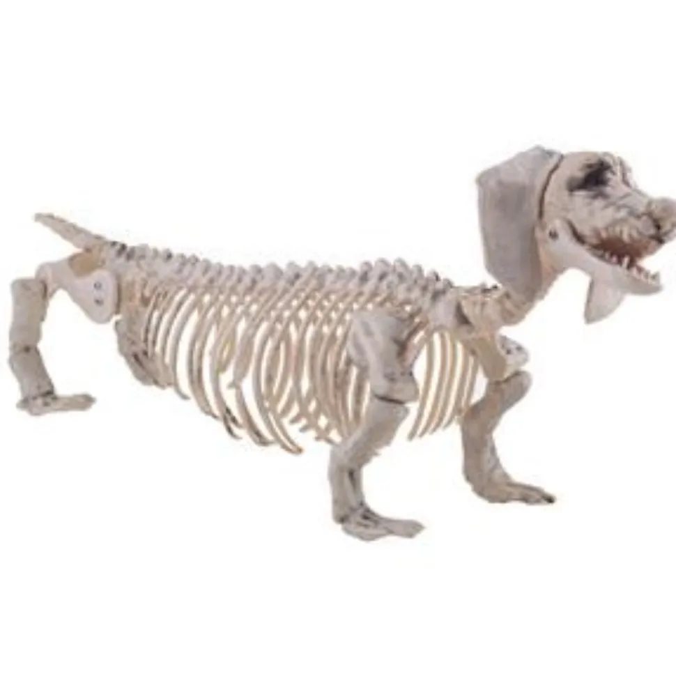 SALE Halloween-Deko-Figur Dackel-Skelett, ca. 56x13x22cm