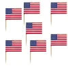 SALE Picker für Kuchen, Fingerfood & Co., Flagge Vereinigte Staaten / USA / Amerika, 30 Stück