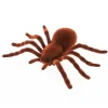 SALE Spinne, braun, beflockt, Größe ca. 18 cm x 11,5 cm x 3,5 cm