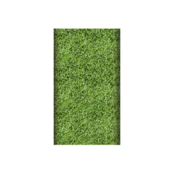Tischdecke Soccerball / Rasen 5 x 1,2 m